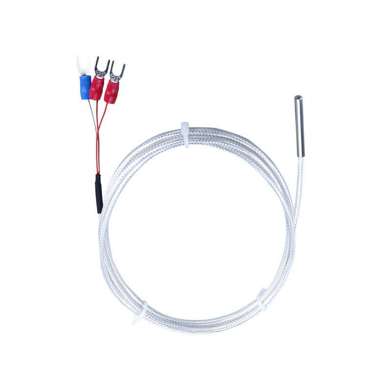 Sondă WZP-035 PT100 Cablu 5 × 35 mm 1–20 m Termometru cu rezistență platină RTD Rezistent la coroziune Rezistent la apă Senzor de temperatură anticoroziv