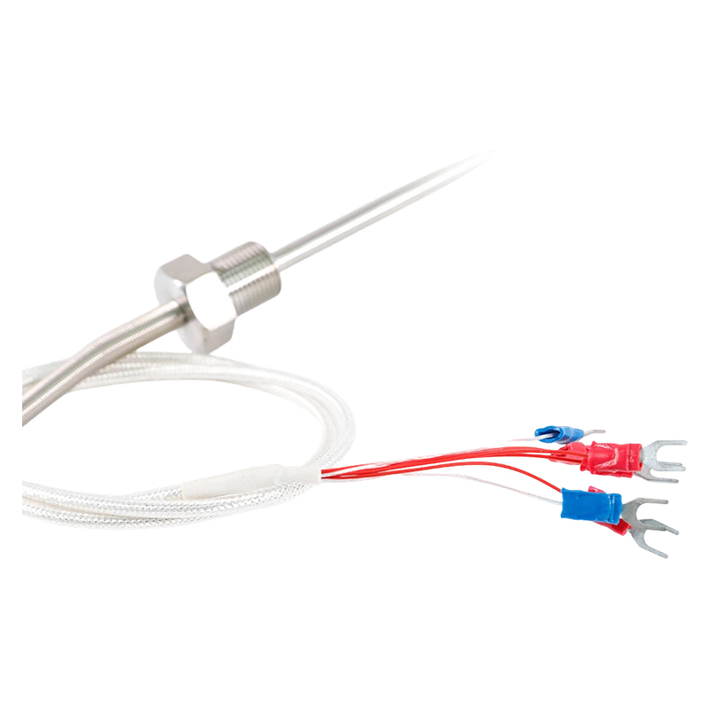 Direct din fabrică - 200 ~ 450°C Clasa A 316 Rtd Pt100 Senzor de temperatură Rezistență platină Termometru Sondă Termometru cu filet de 1/2