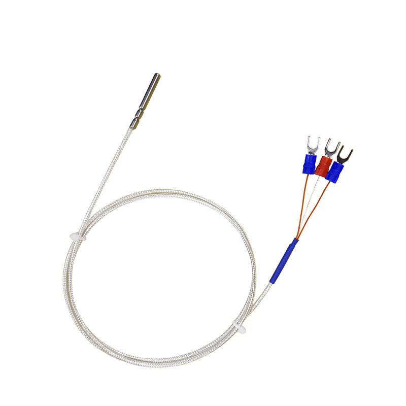 Sondă WZP-035 PT100 Cablu 5 × 35 mm 1–20 m Termometru cu rezistență platină RTD Rezistent la coroziune Rezistent la apă Senzor de temperatură anticoroziv